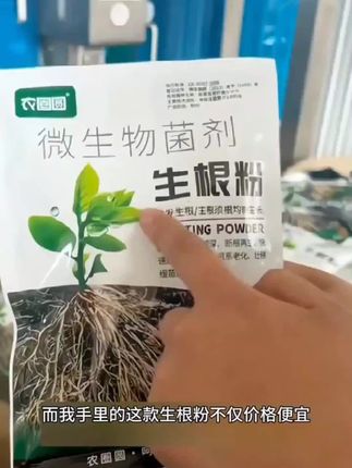 #快速生根粉植物月季通用根系壮根改土花肥微生物活菌喷施叶面肥料 好物推荐#好物分享