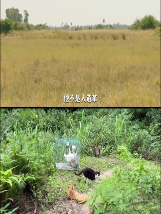 #夏日出游包显眼的