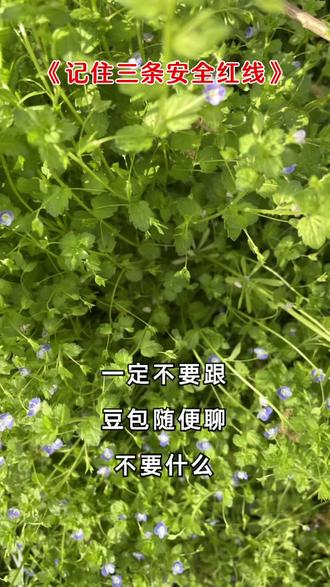 请不要把私人信息发给豆包