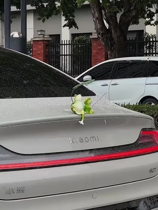 哈哈,好悠闲。