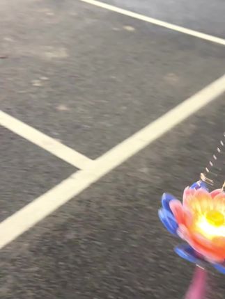 一盏莲花灯#玩具 #爱了爱了 #网红玩具 #新奇好物 #新奇特玩具