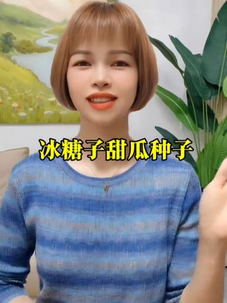 #冰糖籽甜瓜 种植简单,可地爬生长也可吊蔓种植#阳台小院均可种植 #甜瓜种子 #冰糖籽甜瓜种子 #甜瓜种植
