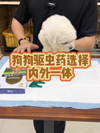 家庭养狗给狗狗做驱虫可以用内外一体驱虫操作方便驱虫多 #狗狗驱虫药 #狗狗体外驱虫 #狗狗驱虫 #狗狗驱虫多久一次 #养狗经验分享