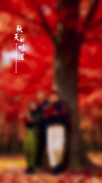 #古街古巷古城墙 宝鸡的长城也很美