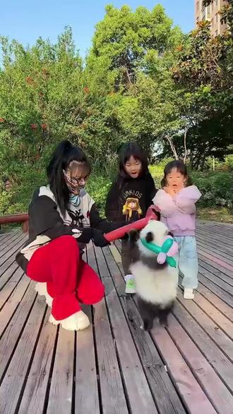 #0-6岁益智动画视频 #儿童动画 #儿童动画片0-3岁益智 #启蒙益智动画 #儿童动画小视频