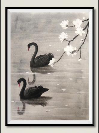 黑天鹅的美,犹如一首无声的诗,一幅流动的画,让人流连忘返。#碳笔画 #带你走进画里 #抖音美好微光集 #抖音插画大赛