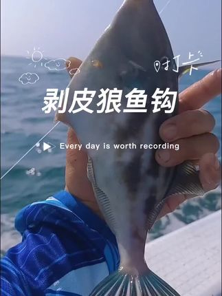 扒皮狼专用鱼钩 #海钓船钓#渔具用品 #钓鱼人就是这么疯狂 #面包鱼#皮匠鱼