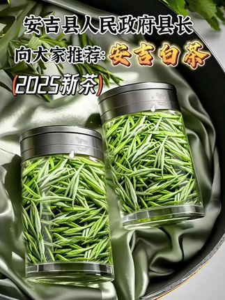 正宗安吉白茶绿茶新茶上市!#好喝不贵 安吉白茶,安吉地理标志产品,堪称茶中鲜爽滋味的“天花板”。其外形似凤羽轻盈,翠绿的叶芽间银毫闪烁,严格遵循一芽一叶标准,叶白脉翠,叶缘微微卷曲,凝聚着春日山林的鲜嫩灵气。注入热水,茶汤清透明亮如琥珀,馥郁茶香瞬间四溢。茶芽在杯中悠然舒展,颗颗鲜活饱满,似在水中翩然起舞。轻抿一口,鲜爽滋味在舌尖绽放,回甘悠长,将春日的清新与生机,尽数融入这一盏茶香之中。#安吉白茶 #白茶 #绿茶 #好物推荐🔥
