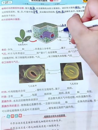 #新初一 让孩子把这些重点图片吃透,开学越学越轻松#初中生物 #默写本 #小四门 #学霸秘籍
