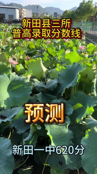 新田普高录取分数线#中考