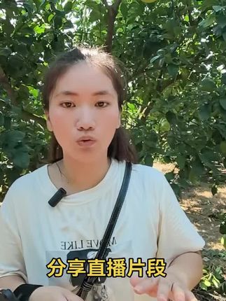 #度尾红心文旦柚 新鲜才摘,今天打包,最晚明天发货。喜欢吃度尾文旦柚的可以直接链接下单五斤装尝尝鲜。尝的满意了,后期有需要的可以找小徐回购。