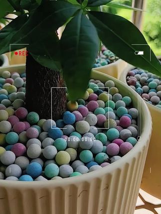 彩色小陶粒铺面石#彩色陶粒#彩色小陶粒 #陶粒#彩陶#绿植花卉