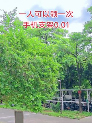 一个账号可以薅一次,老铁们快冲!#手机支架推荐 #手机支架 #一起撸羊毛#薅羊毛