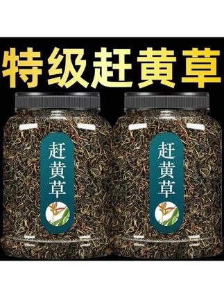 新品赶黄草新货2025嫩芽嫩叶四川赶黄草泡水喝的新鲜赶黄草瓶装 #养生茶 #赶黄草
