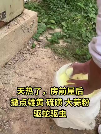 房屋附近撒上一些,都不见它的身影了!#驱蛇粉 #驱蛇 #驱蛇神器