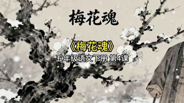 梅花魂 五年级下册语文课文朗读真人讲解视频动画 爱国之心 #梅花魂 #爱国 #五年级语文下册 #梅花 #课文插图
