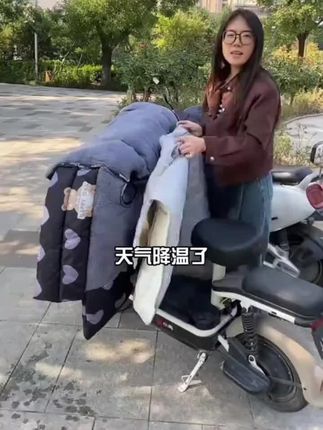 #挡风被