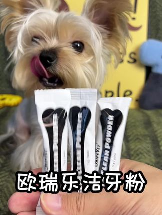 不爱刷牙嘴巴滂臭的小狗一定要试试这个洁牙粉~#萌宠好物 #养狗经验分享 #新手养狗