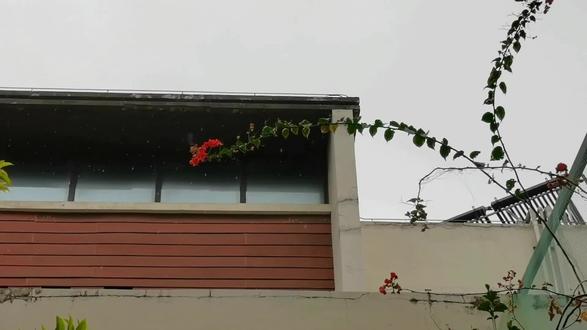身为万人迷小说的恶毒炮灰受,重生觉醒了怎么自救?
当然是做深情男配攻,只用混在攻1234里,去主角受面前刷脸表表白,反正现在脖子以下都禁了,他连肉都不用卖,等人和攻1修成正果,再装个黯然落魄的亚子功成身退,从此天高任鸟飞,海阔凭鱼跃!
第一步:先和主角受道歉,和他做朋友,帮助他理解他!背后默默支持他!!!
“你人真好,他们一定没有好好看你”
“我私下偷偷和你说我小名”
“这是脑科界有名的泰斗,朱教授,有朱爷爷在,林哥可以没有后顾之忧了,阿姨一定会好的。”
主角受:“为什么”
乔:“因为我喜欢你呀”
“真的?”
“真的呀!”
“你不要后悔”
不怕,反正你是属于主角攻的。
第二步:远离主角攻,和主角攻成为情敌,但是不能做的太过分,要把握度。
“关总,我可是靠爹吃饭的二世祖,你拉我去沉江前,可要好好想清楚。”
“关总你好,关总再见。”
“关总,你放心,我不会纠缠你,以前是我不懂事,我已经决定洗心革面。”
“关总,我和林哥现在是朋友,你放心。”
主角攻:他一定在欲擒故纵,他好爱我。
攻234:他真有趣,我对他越来越好奇了。
#小说推荐 #双男主 #甜文 #重生 @DOU+小助手