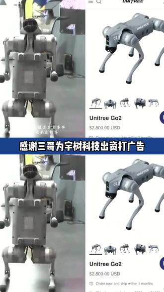 感谢三哥为宇树科技出资打广告#印度 #机器狗
