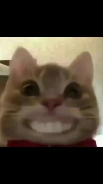 快来和我一起当快乐岛主 #幸福小渔村