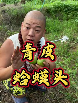青皮蛤蟆头 尺寸可选#文玩核桃 #文玩爱好者 #蛤蟆头 #青皮核桃