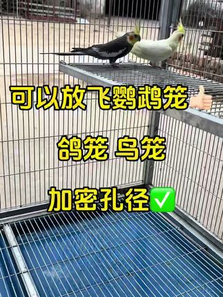 #鸽笼#鸟笼 组装简单的鸽子笼,组装简单。