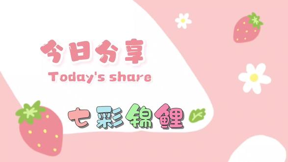 七彩锦鲤视频钩织教程#钩织教程 #教程 #玩毛线 #挂饰挂件 #钩针教程