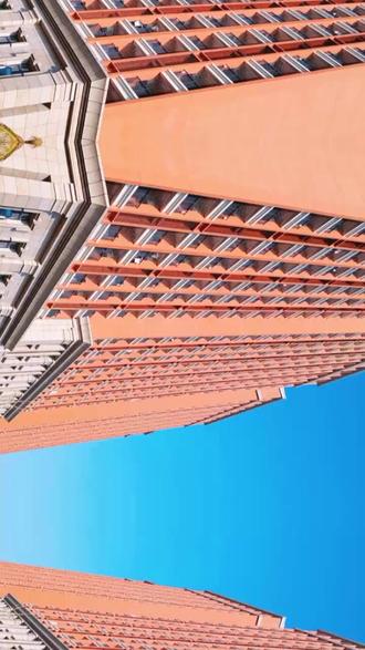 深职院录取线2021_深职院分数_深职院分数线