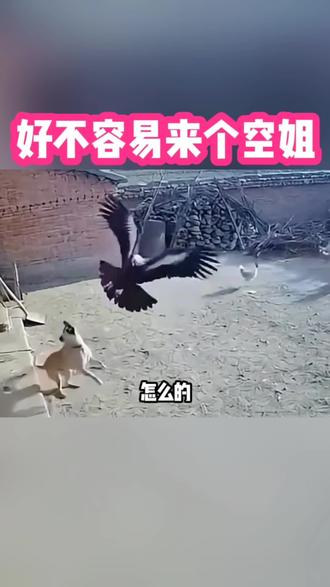 好不容易来个空姐#搞笑 #搞笑配音 #搞笑视频