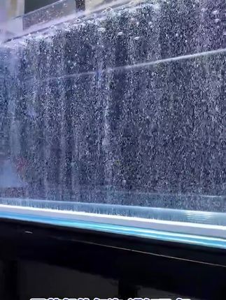 轻轻一按,增氧照明,一套气泡灯,解决两个问题。带遥控,多种模式可调,看看调色后的效果,可以调节成自己喜欢的颜色,也可以调成自动变色模式,十分哇塞。每天不同一个颜色都可以。有人问能关灯继续冒泡吗?当然没问题,关灯后不影响增氧。#造景鱼缸 #轻松养鱼 #养鱼 #鱼缸气泡条 #鱼缸滤材