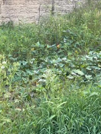 【拍一发三】多功能收纳盒厨房橱柜收纳篮柜子整理筐家用储物篮箱