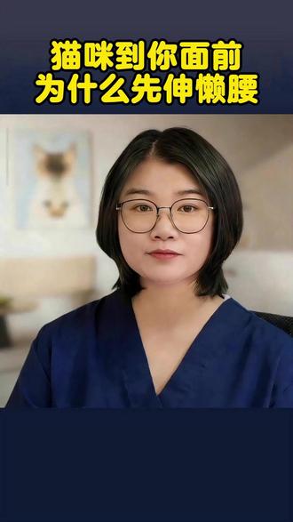 猫咪到你面前为什么先伸懒腰 #猫咪 #猫咪冷知识 #新手养猫 #养猫必看 #你不知道的猫咪