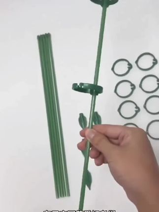 #好物推荐🔥 海芋专用防倒伏支架支撑杆园艺固定架朱顶红花架龟背竹天堂鸟植物#养花专用支撑杆 #绿植固定器 #园艺用品