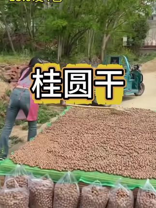 桂圆干,好吃又实惠,趁现在优惠赶紧囤#快来一起尝个鲜 #桂圆干皮薄肉厚 ,#好吃不贵 #口感好 #真的好吃