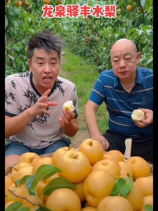 正宗龙泉驿丰水梨,口感细腻化渣,水分相当足,而且是纯甜无酸的#梨#丰水梨#农产品原产地