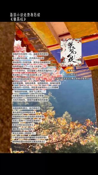 番茄小说《攀高枝》7639混剪4 #番茄小说 #HJ #jzp #扮猪吃虎女 #陈宝香