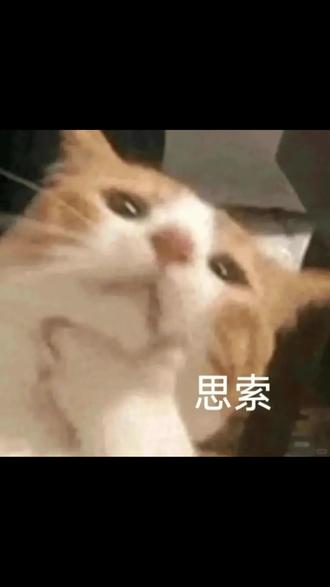 谁还没测我都会伤心的 OK? #醒图 #AI造型室 #美学测试