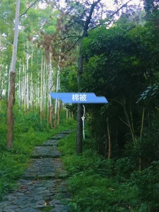 特价加厚驼毛被子冬被芯保暖驼绒被单双人春秋被学生宿舍冬天棉被#棉被#加绒保暖