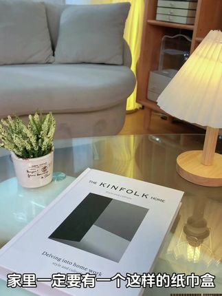 轻奢多功能下沉式纸巾盒,为客厅卫生间增添高端氛围! #透明简约 #桌面好物 #可爱纸巾盒 #茶几装饰 #客厅好物