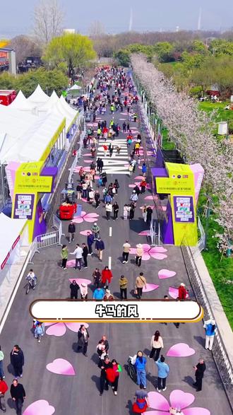 现在已经卷到樱花也有KPI了 #武汉 #樱花 #武汉马拉松 #汉马 #热点