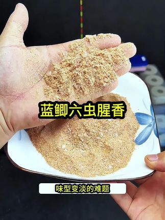 蓝鲫新品六蟲腥香饵料#钓鱼#饵料#饵料窝料#饵料搭配 #钓鱼饵料#饵料推荐 #饵料测评