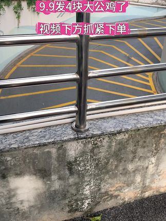 鸡头皂洗衣皂肥皂去污渍透明皂家用整箱家庭装