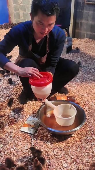 #养殖 #养鸡 #农村散养土鸡 #家禽养殖 #养鸡技术 家禽养殖技术