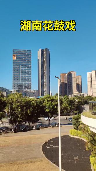 #上热门 #湖南花鼓戏#谁说戏曲不抖音