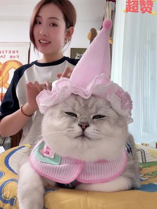 芬儿妈推荐羊奶酱包 纯羊乳加鲜肉 呵护毛孩子的肠胃#养猫必修课 #你难道不想拥有一只猫咪吗