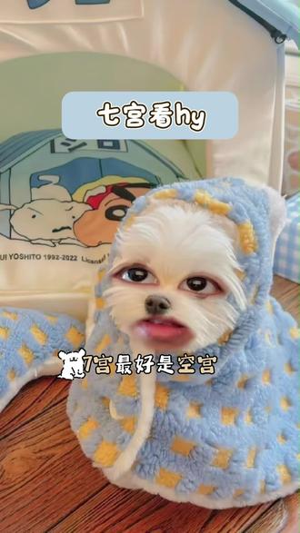 七宫看hy #星盘 #星盘分析 #星座 #情感 #婚姻