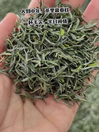 人到中年,茶里藏春秋,来一杯信阳毛尖,得半日清闲#今天你喝茶了吗#信阳毛尖 #召唤茶友