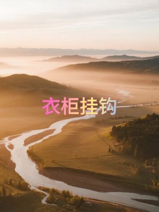 #衣柜挂钩 #衣柜挂钩推荐 #挂钩 #挂钩推荐 #六爪挂钩