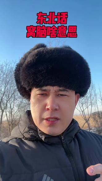 东北话你是几级?东北有个词叫窝脑,啥意思?#原创视频 #东北话 #东北方言 #东北人自带幽默感 #涨知识